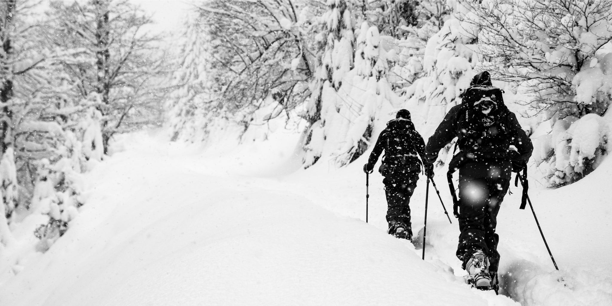 gara-splitboarding-skin-truck